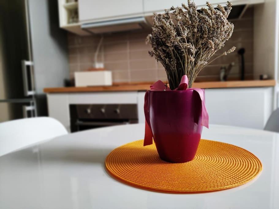 Curtatone Apartamento Florencia